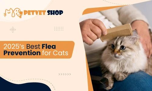 What Is the Best Flea Prevention For Cats? Guide 2025