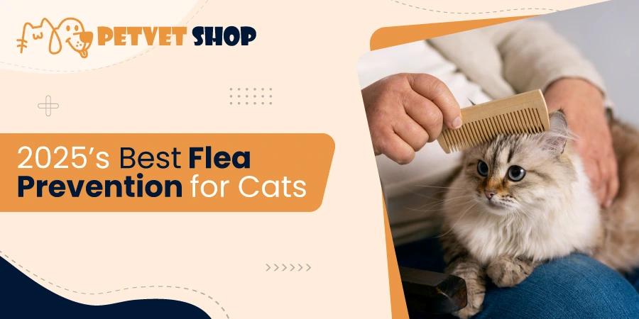 What Is the Best Flea Prevention For Cats? Guide 2025