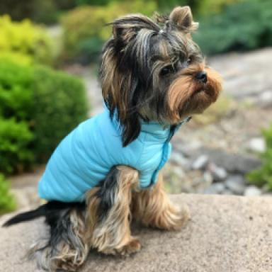 Cooling Vests