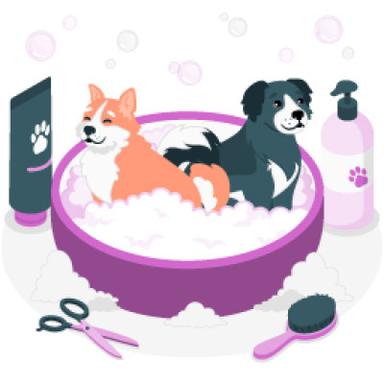 Shampoos & Conditioners
