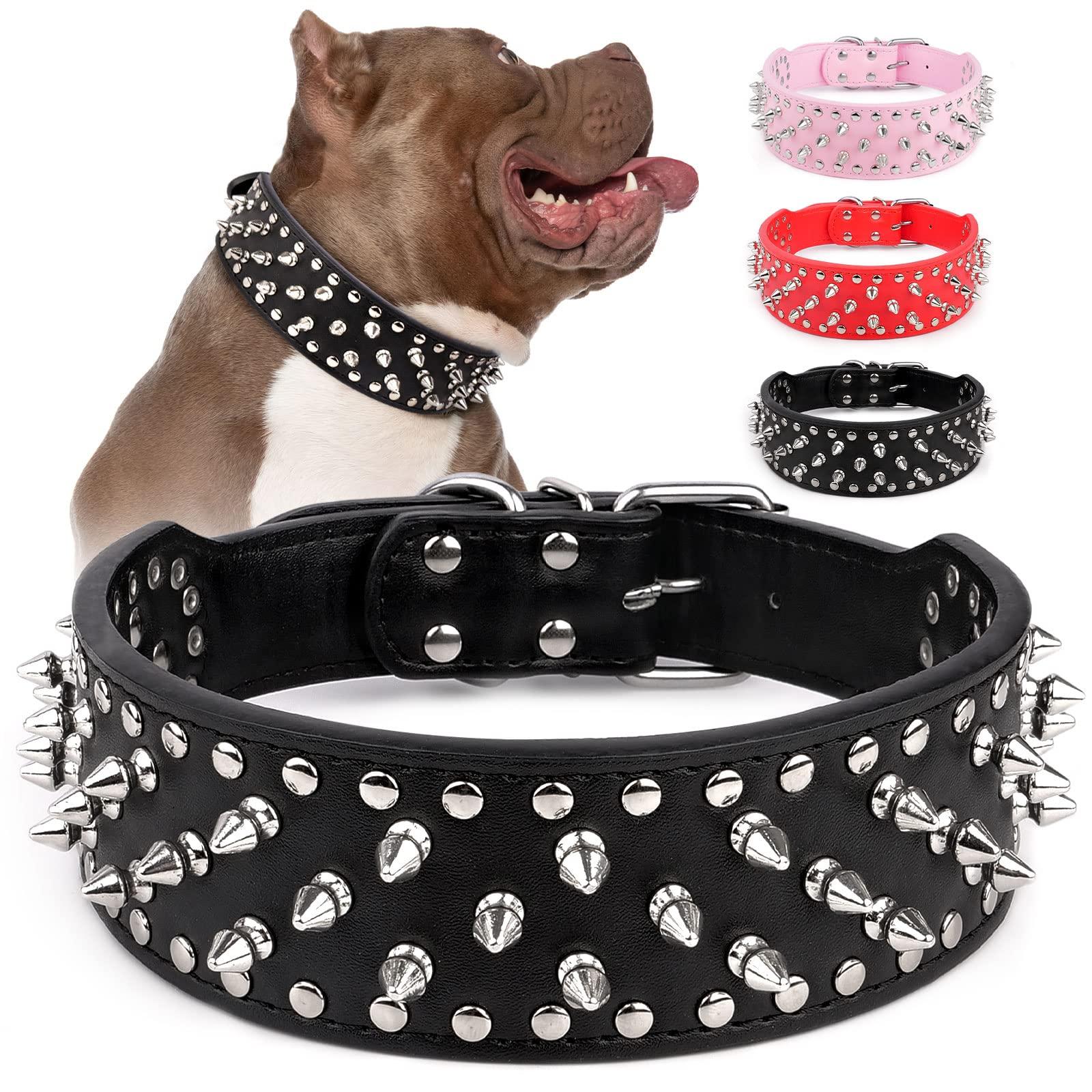 The Urban Paw Boutique