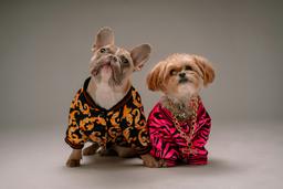 pet care clinics